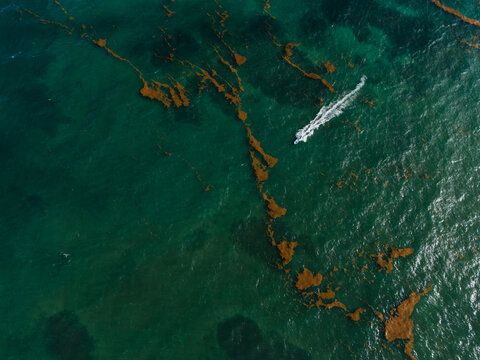 Boat cruising through seaweed patches in turquoise water