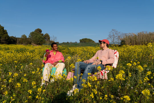  Friends Sit in a Field picnic