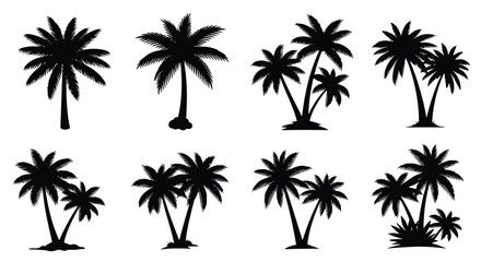 Fototapeta premium Collection of various palm tree silhouettes on a white background.