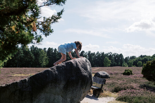 girl playing on boulder amidst heather field in northern Germany