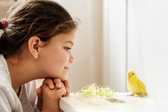 Girl taming her pet budgie. They are looking at each other. 