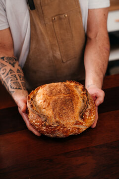 Baker Holds Fresh Sourdough Bread 