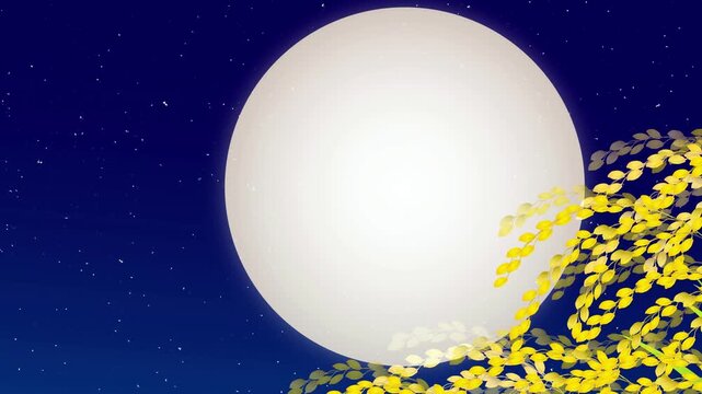 Full Moon and Golden Rice Stalks 4K