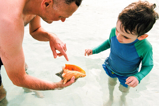 Father and child examine conch found on the beach in the Bahamas