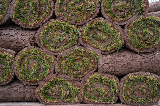 Rolled Sod Grass Stacks