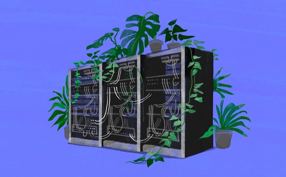 Server Racks with Plants &ndash; Eco Technology Concept