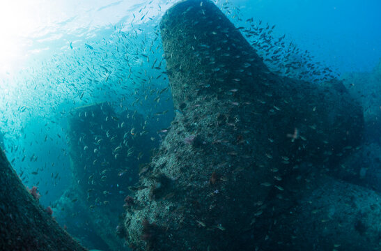Wave breaker