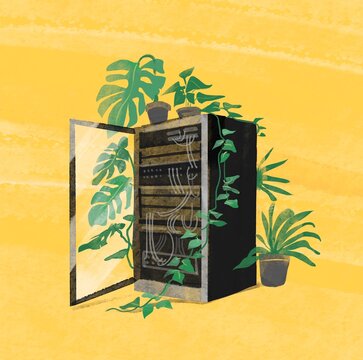 Server Rack with Plants &ndash; Eco Technology Concept