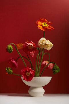 Poppy flowers in vase on red background