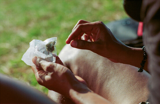 Cannabis Bud in Hand