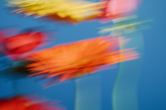 Bright flowers on a blue background sway in the wind