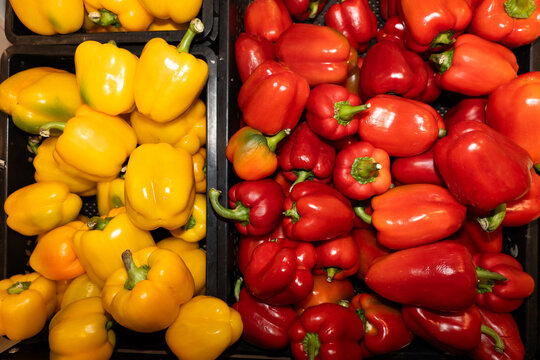 Yellow and Red Bell Peppers in Market Trays, Overhead View