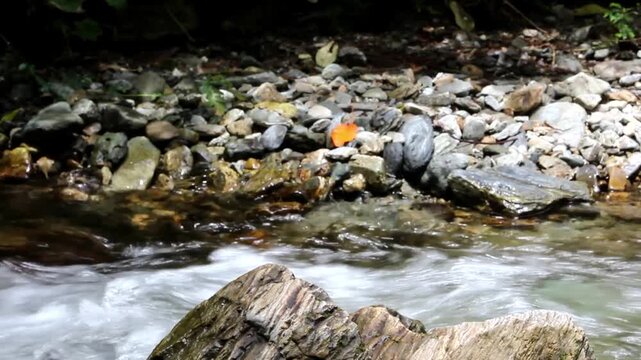 Flows of water that descend through the stream and among the rocks, awakening peace, tranquility, and a sense of freedom in the people who see and hear it.