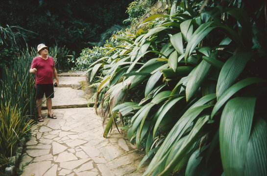 Man on Garden Path