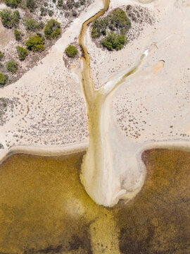 Water draining into a brackish waterhole in coastal wetlands