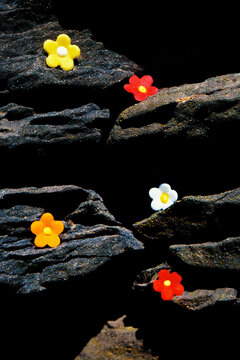 Colorful Candy Flowers on Dark Rocks