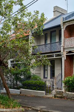 Homes Along a Quiet Street in Surrey Hills Neighborhood of Sydney