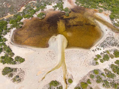 Water draining into a brackish waterhole in coastal wetlands