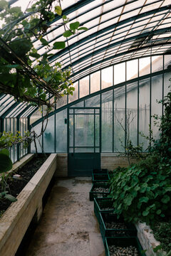 Greenhouse in the fields of Le Doyenn&eacute;, Saint-Vrain, Paris