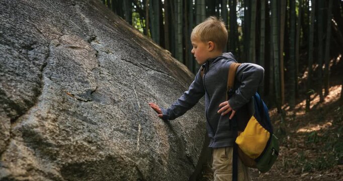 Little boy with backpack touching large stone surface in bamboo area - medium shot