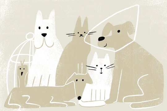 Illustrations of pets