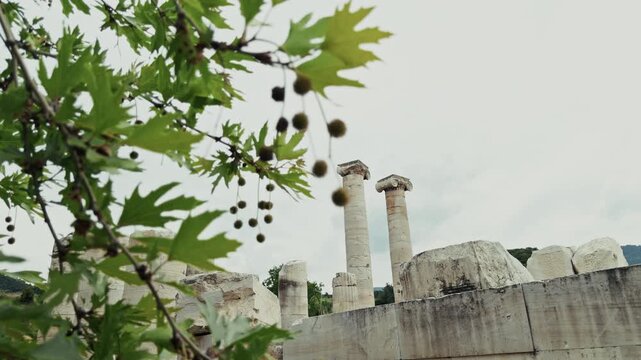 Ancient Ionic Columns Of The Temple Of Artemis In Sardis Salihli