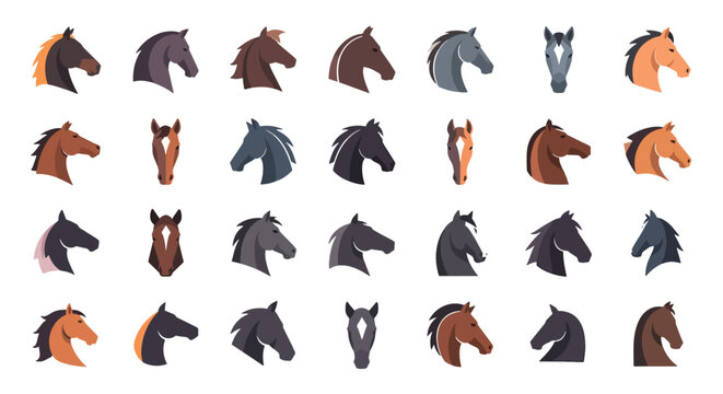 Collection of various horse head illustrations showcasing different breeds and colors.