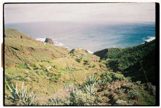 Coastal View with cactus in Tenerife