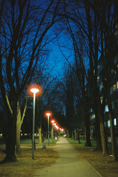 Night walkway lined with glowing streetlights