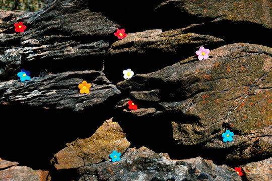 Decorative flowers on dark textured rocks