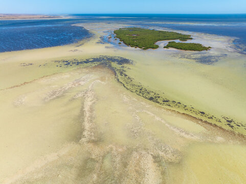 Sand flats and shallow water in a tidal estuary