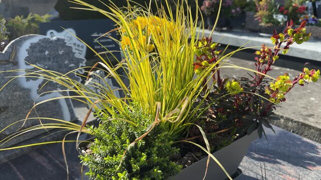 Colorful grave planter with flowers in sunny cemetery
