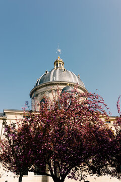Architectural view of the dome of the Institut de France
