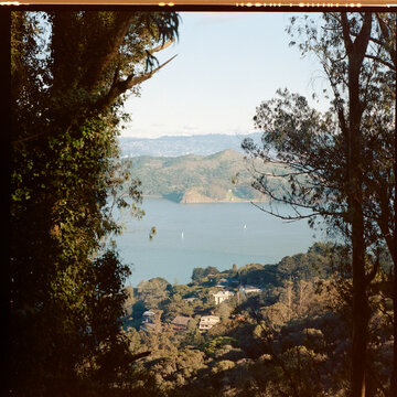 Marin