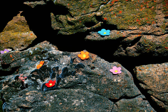 Still life on textured stone