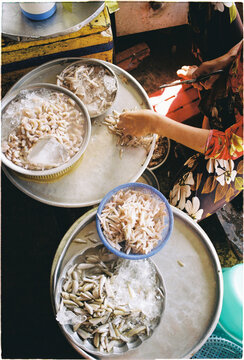 Woman prepares fresh seafood at a market in a bustling city