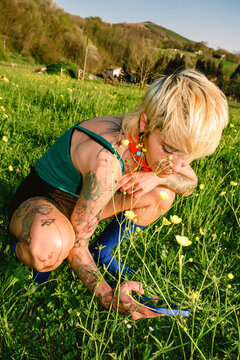 Person collects flowers in a field during sunny day in spring