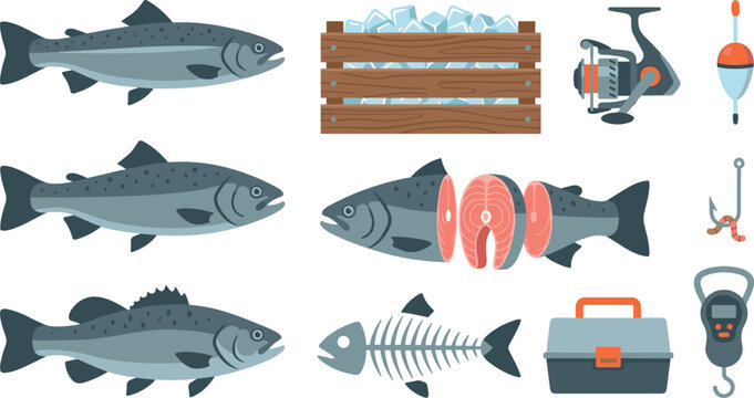 Fresh Salmon Trout Fish and Fishing Equipment Element Set with Sliced Steak Ice Crate Reel Hook Scale and Tackle Box Vector Illustration