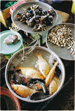 Fresh catch of fish and shellfish at local market 