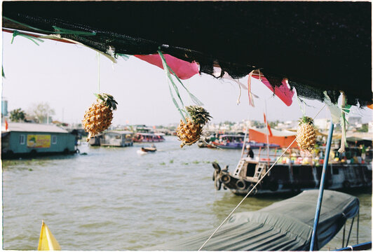 Pineapples hang above boats on the river during a sunny day