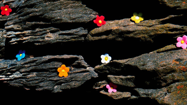 Flowers Placed on Rocks