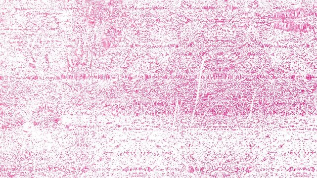 Grunge background faint pink vintage floral patterns on white paper suitable for invitations, background designs, wedding stationery, feminine decor, delicate projects.