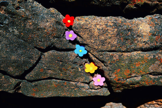 Still Life with Colorful Flowers