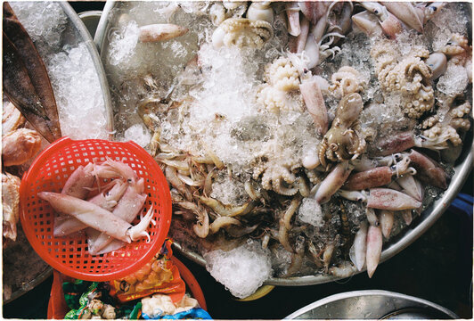 Fresh seafood display at a market in the early morning