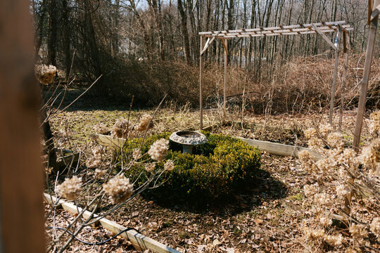 view of messy backyard garden on sunny spring day with nobody