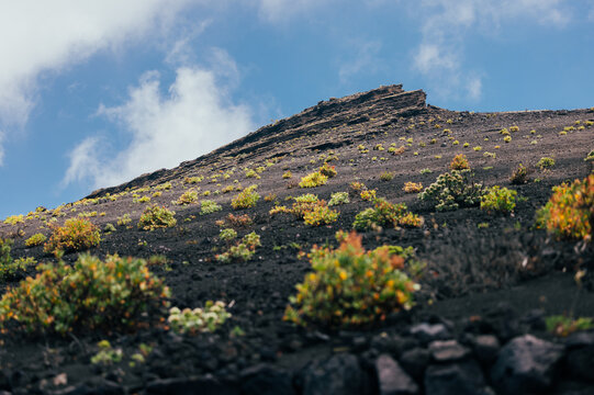 Volcanic slope with pioneer plants under blue sky, La Palma