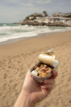 Seashells In Tin Can