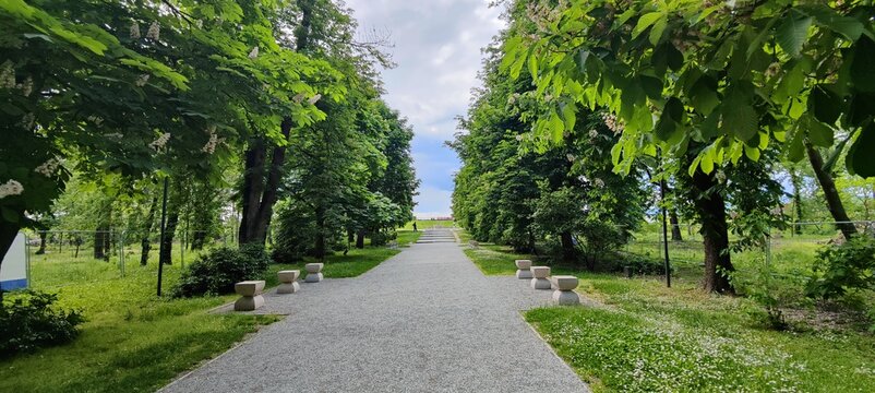 road in the park