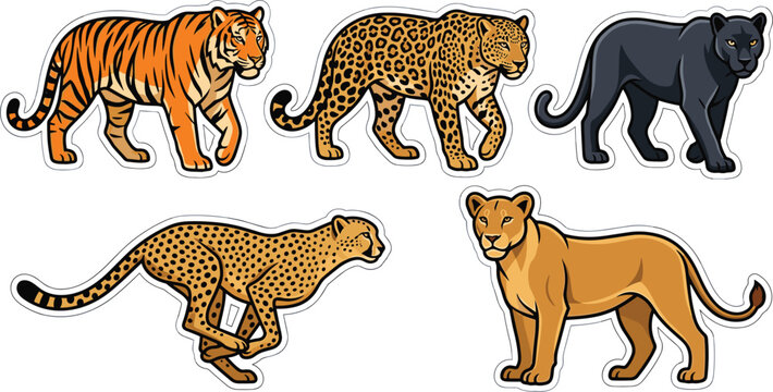Wild Big Cats Sticker Vector Set Featuring Walking Tiger Jaguar Black Panther Running Cheetah and Lioness for Safari Wildlife and Adventure Graphic Designs