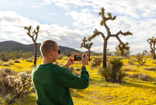 Tourist take photo mobile phone Joshua Tree Landscape California 